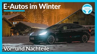 Elektroautos im Winter  alle Vorund Nachteile [upl. by Atniuq]