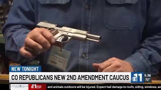 WATCH Two Colorado republican lawmakers standing up new second amendment caucus [upl. by Eiramoj]