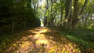 Autumnal entrance to the Hadlow CC [upl. by Mcnelly687]