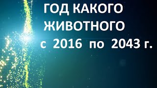 Год какого животного 2018 по гороскопу по годам по китайскому календарю сейчас [upl. by Trauner]