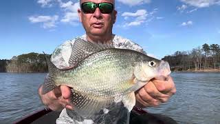 Water Is Warming  Are The Crappie Shallow  Crappie Fishing [upl. by Toy]