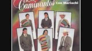 los caminantes con mariachi tengo que olvidarte0001wmv [upl. by Atteugram]