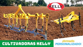 CULTIVADORAS Kelly  ¡Armado PERSONALIZADO🟡 [upl. by Navinod]