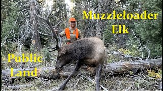 Colorado Muzzleloader Elk Hunt  DIY Public [upl. by Solange]