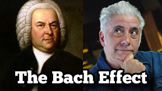 The Bach Effect What the GREATS Hear That You Don’t [upl. by Llekcm]