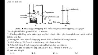 Quan sát hình sau Hình 11 Minh hoạ phương pháp điều chế isoamyl acetate trong phòng thí nghiệmCho [upl. by Laoj522]