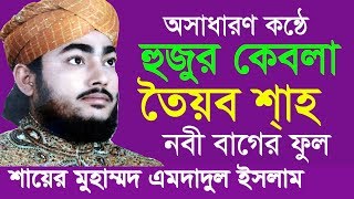 হুজুর কেবলা তৈয়ব শাহ  Sayer Mohammed Imdadul Islam  Beautiful Naat  Islamic Gojol  2018 [upl. by Eneroc766]