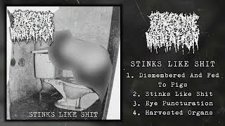 Putrescine Inhalation  Stinks Like Shit FULL EP 2022  Goregrind [upl. by Nuris407]