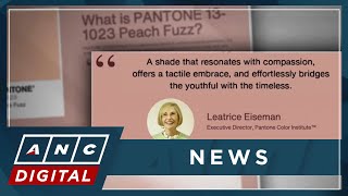 Pantone announces 2024 color of the year peach fuzz  ANC [upl. by Em280]