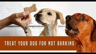 Barking dog sounds  noise desensitization for puppies and dogs [upl. by Dwaine292]