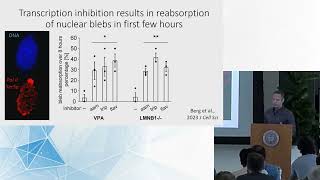 Epigenetic Memory Identity and Regulation  2024 Genome Architecture amp Function Wkshp [upl. by Eversole]