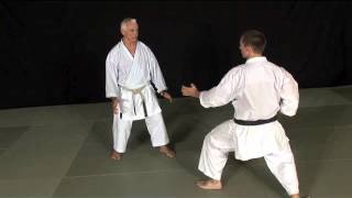 Unsu bunkai karate  JeanPierre Lavorato sensei DVD vol6 [upl. by Sherie]