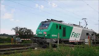 Valenciennes  Thionville trafic FRET SNCF BB 27000 et ECR E186 TER Z 27500 SNCF série 13 [upl. by Essiralc]