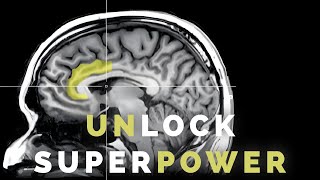 quotUnlocking Discipline How the Anterior MidCingulate Cortex Drives Success and Wealthquot [upl. by Thema64]