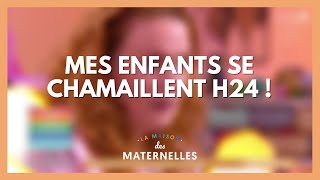 Mes enfants se chamaillent H24  La Maison des maternelles LMDM [upl. by Hanson]