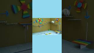 Hamster Escape from Pool Maze P3 shorts Hamster HamsterEscape HamsterMaze Animal pets [upl. by Yrffej]