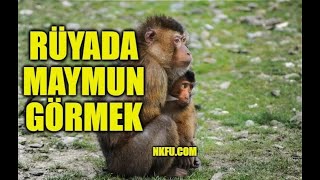 Rüyada Maymun Görmek Ne Anlama Gelir Maymun Sevmek Öldürmek Saldırması Nedir [upl. by Adnir1]