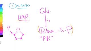 01 Purine metabolism 01 [upl. by Reggi597]