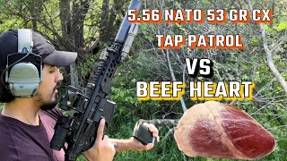 sig mcx rattler lt 775 556 vs beef heart [upl. by Uchida]