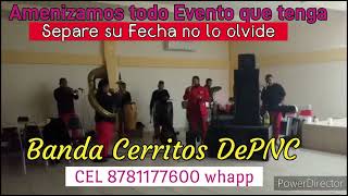 El Centenario Con La Banda Cerritos de Piedras Negras Coh [upl. by Anivol]