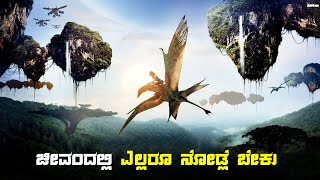 Avatar 1 Movie Explained in Kannada  Dubbed in Kannada Movie Review Explained Stories in Kannada [upl. by Xenia]