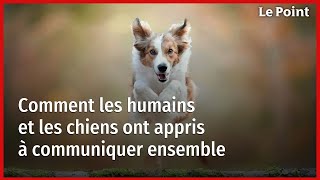 Comment les humains et les chiens ont appris à communiquer ensemble [upl. by Akemehc]