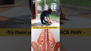 Yoga for lower back pain  Yoga for strongest back  100  effective youtubeshorts yogapractice [upl. by Oxford529]