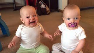 Twin baby girls fight over pacifier [upl. by Phipps]