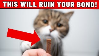 WARNING 10 Mistakes That Will Ruin the Bond with Your Cat [upl. by Roanna]