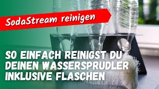 SodaStream reinigen und entkalken inkl Flaschen So einfach geht’s [upl. by Ingold]