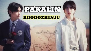 PAKALIN KOODOZHINJU taekook Malayalam songBTSLOVE💜 [upl. by Sdlonyer802]