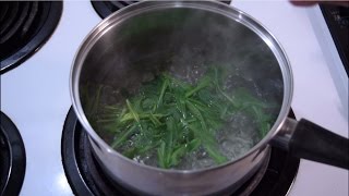 How To Harvest amp Cook Wild Lettuce Greens  Wild Edible Recipes [upl. by Htiderem]