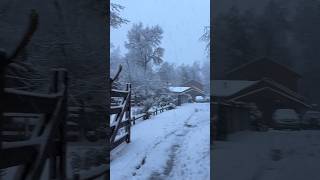 Inverno em Nevados de Chillán Chile 🇨🇱2024  winter invierno chile snow nieve [upl. by Ackler]