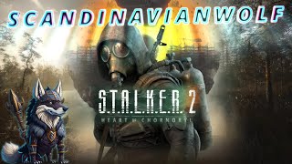 STALKER 2  Trying Out This Game V [upl. by Aihsilat]