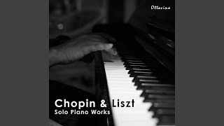 Chopin 24 Preludes Op 28 No 1 in C Major Agitato [upl. by Seidnac22]