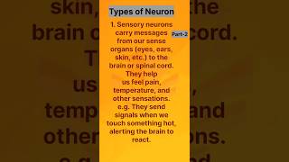 Nerve Cell  Neuron  Human cell  Part2  shortsfeed shorts viralshorts [upl. by Anaynek533]