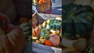 Farmers Market Houlton Maine Short Video  Market Square [upl. by Riocard]