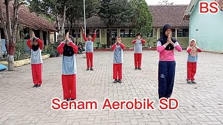 Senam Aerobik SD [upl. by Etiragram]