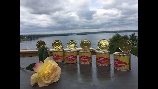 How to eat fermented herring the correct way Part 3 [upl. by Imerej]