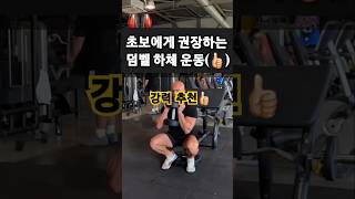 Dumbbell leg workout  초보자도 할 수 있는 덤벨로하는 하체운동 4가지 shorts fly dumbbellworkout legworkout [upl. by Viviane998]