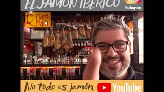 ASICI Trazabilidad del jamón ibérico [upl. by Yatnod241]