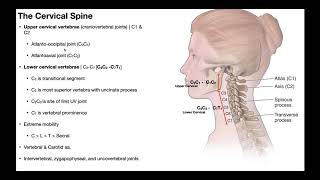 Cervical Lateral Flexion amp Rotation BIOMECHANICS [upl. by Nahsyar]