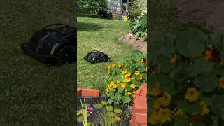 Techline S6  Die Zukunft der Gartenpflege [upl. by Thurnau]