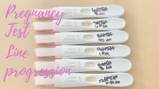 PREGNANCY TEST PROGRESSION LINE  6DP5DT  Tiffany Finley [upl. by Aimehs778]