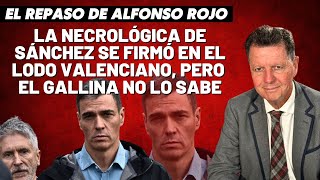 Alfonso Rojo “La necrológica de Sánchez se firmó en el lodo valenciano pero el gallina no lo sabe” [upl. by Aynor]