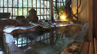 Ryokan w Private Onsen in Hakone [upl. by Sorci940]