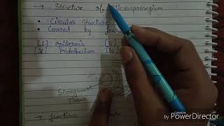 L01 Reproduction in flowering plants class 12 explain in hindi [upl. by Aillicirp190]