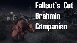 Fallouts Cut Brahmin Companion [upl. by Xineohp]