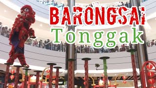 Barongsai 2020 ♡ Barongsai Tonggak ♡ Chinese New Year 2020 [upl. by Ettenrahs633]