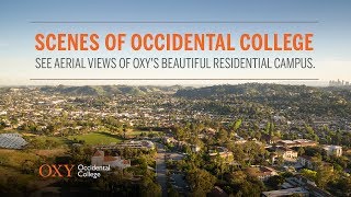 Scenes of Occidental [upl. by Arabelle]